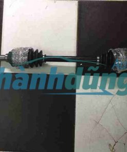 CÂY LÁP TRÁI KIA PRIDE