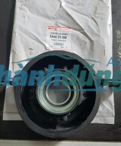 BI CÁT ĐĂNG FORD RANGER