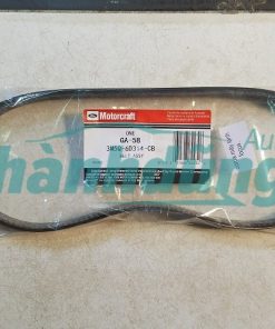 DÂY CUROA ĐIỀU HÒA FORD FOCUS