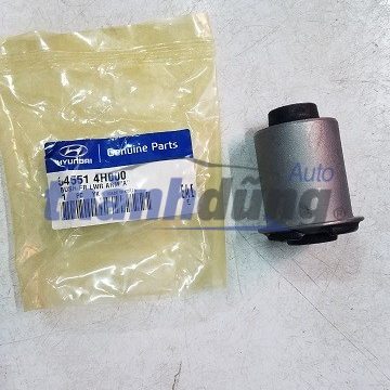 CAO SU CÃNG A NHá» HYUNDAI STAREX