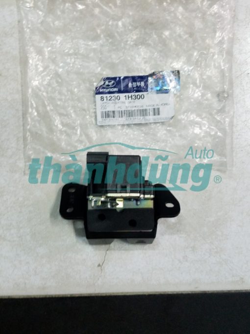 Ổ KHÓA NGẬM CỐP HẬU HYUNDAI TUCSON, SANTAFE, AVANTE