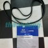 DÂY CUROA TỔNG HYUNDAI STAREX