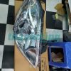 ĐÈN PHA TRÁI NISSAN SUNNY