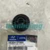 CAO SU ĐỆM GIẢM XÓC SAU KIA MORNING, HYUNDAI I10 GRAND 5532407000