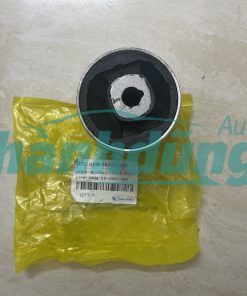 Cao su càng cong Audi Q5