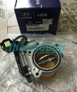 CỤM BƯỚM GA HYUNDAI SOLATI 2017-2021