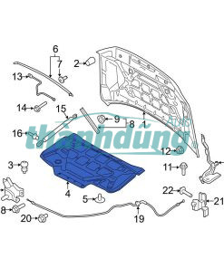 CHỐNG NÓNG NẮP CAPO