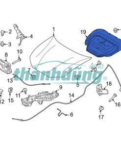 CHỐNG NÓNG NẮP CAPO