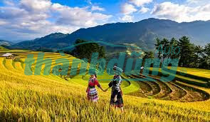 ĐỊA CHỈ MUA PHỤ TÙNG TẠI YÊN BÁI