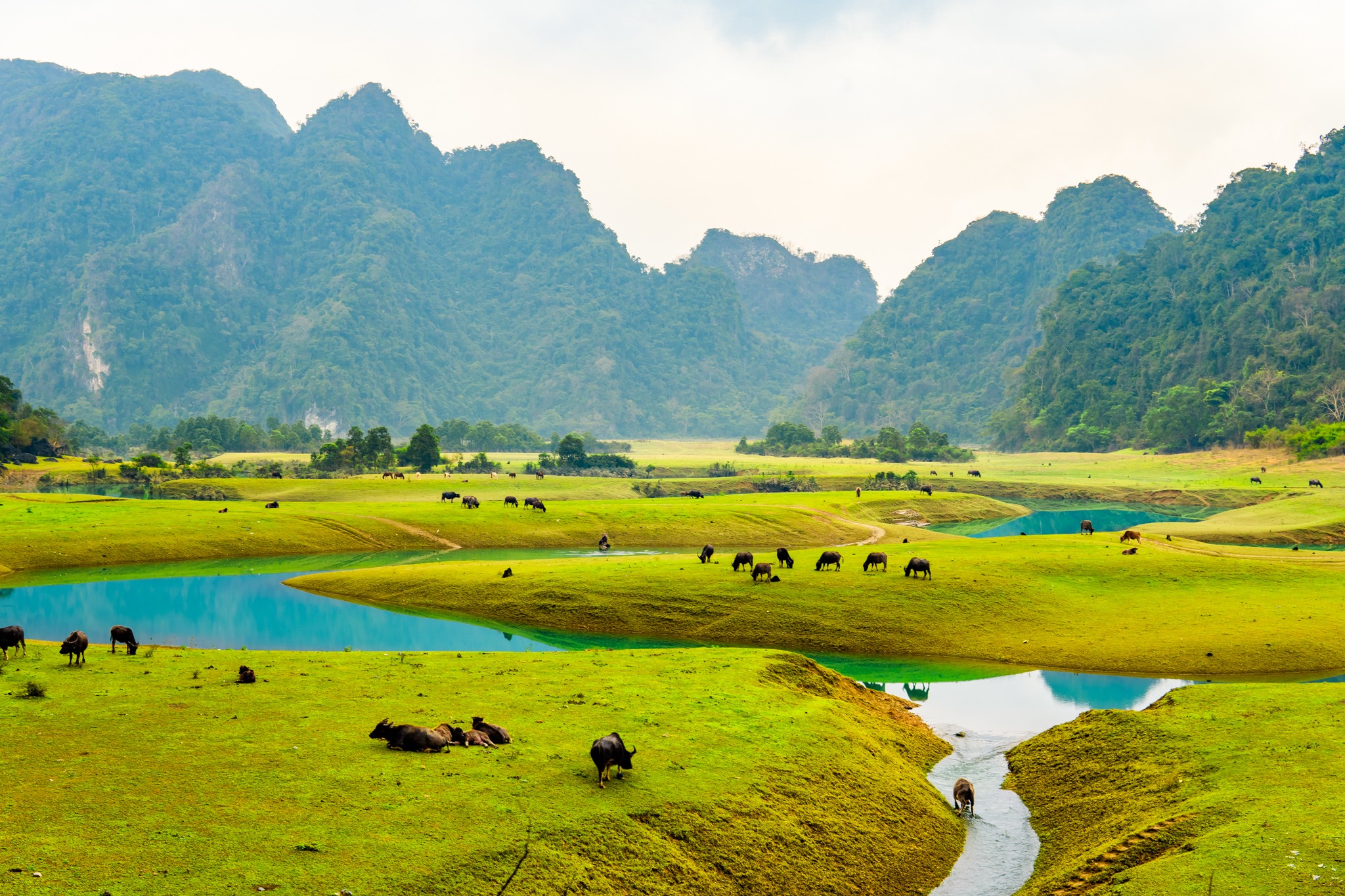 ĐỊA CHỈ MUA PHỤ TÙNG Ô TÔ TẠI LẠNG SƠN