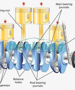 TRỤC CƠ FORD RANGER 2009