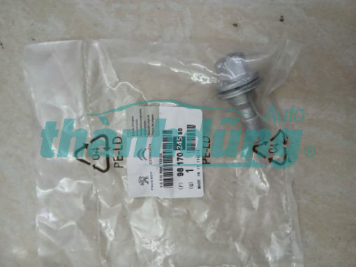 BU LÔNG TẮC KÊ XE PEUGEOT 308 | 9817024580