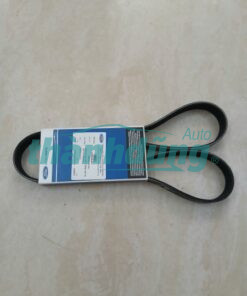 DÂY CUROA MÁY PHÁT FORD FOCUS 1.8 2008 | AM566C301AA