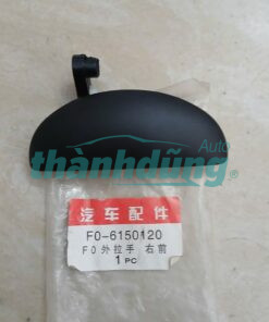 TAY NẮM CỬA NGOÀI PHẢI BYD F0 2011 | F06150120