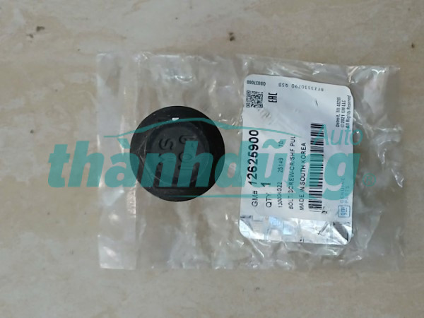 BU LÔNG MẶT MÁY CHEVROLET COLORADO 2.5 2015 | 12625900