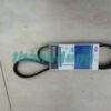 DÂY CUROA TỔNG FORD FOCUS 1.8L 2009 | AM556C301AA