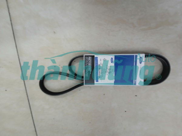 DÂY CUROA TỔNG FORD FOCUS 1.8L 2009 | AM556C301AA