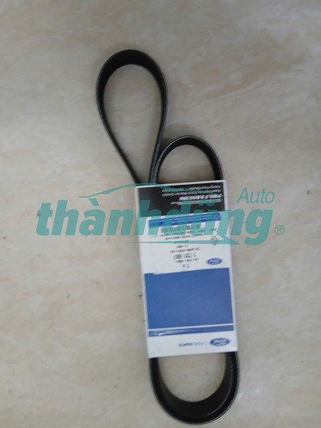 DÂY CUROA TỔNG FORD FOCUS 1.8L 2009 | AM556C301AA DÂY CUROA TỔNG FORD FOCUS 1.8L 2009 | AM556C301AA