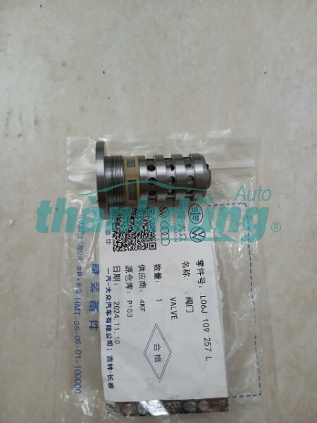 VAN ĐIỀU KHIỂN TRỤC CAM VOLKSWAGEN TIGUAN 2021 | 06J109257L