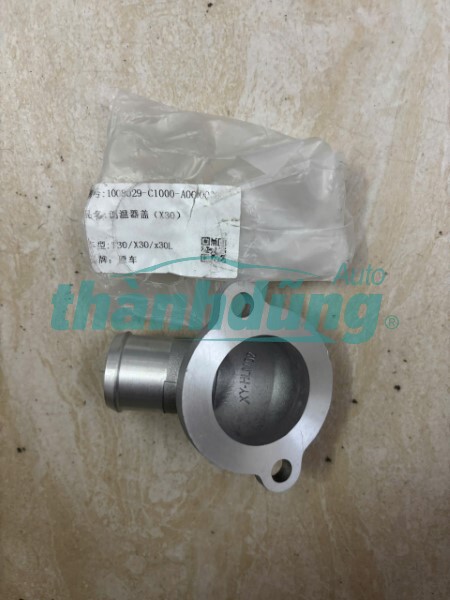 VỎ VAN HẰNG NHIỆT XE DONGBEN X30 | 1008029